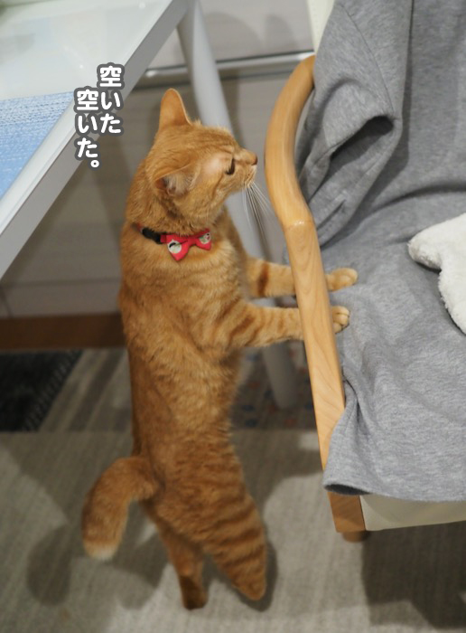 21日夕ブログ５