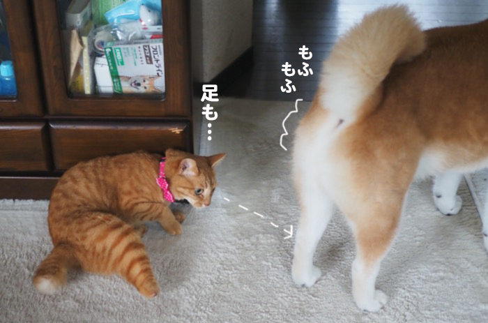 9日夕ブログ７
