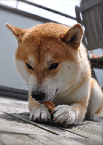 27日ブログ9.jpg