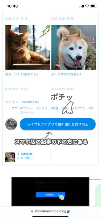 26日ブログ９