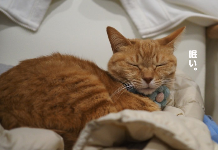 13日夜ブログ３