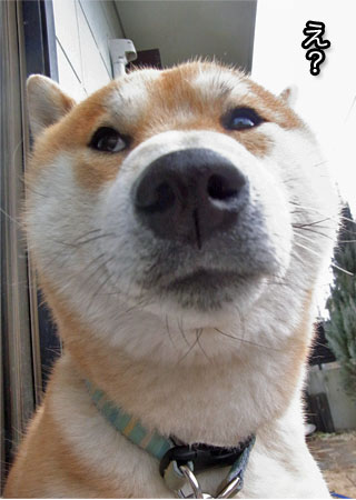 10日ブログ9.jpg