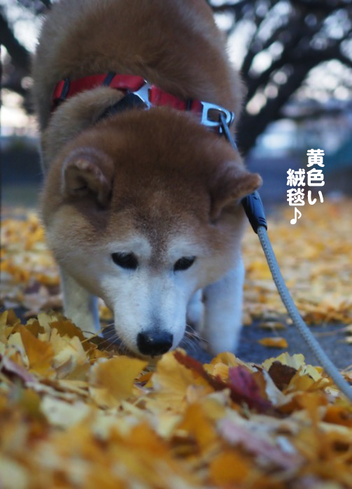 2日夕ブログ２