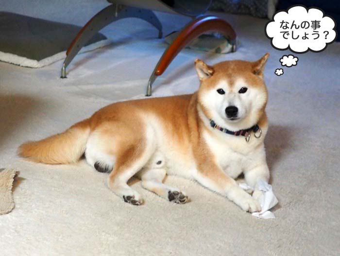 10日夕ブログ４