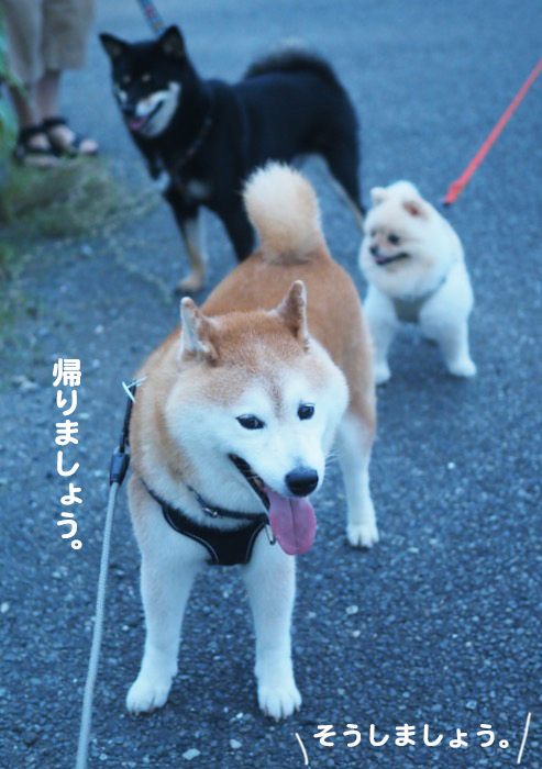 12日ブログ７