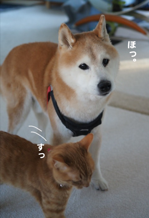 12日夕ブログ５