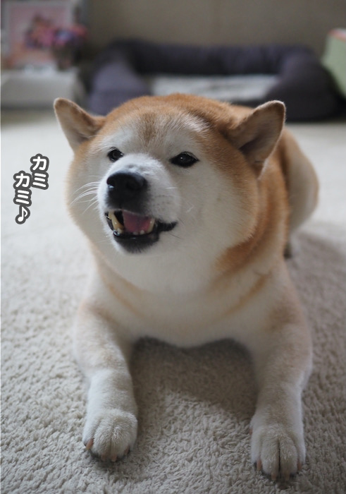 19日夕ブログ４