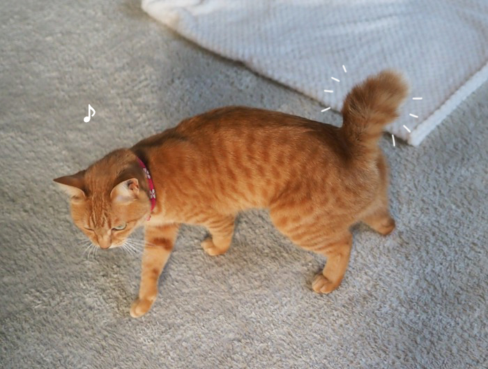 14日夕ブログ５