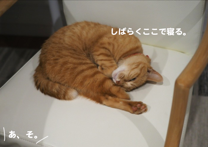 18日の夕ブログ4