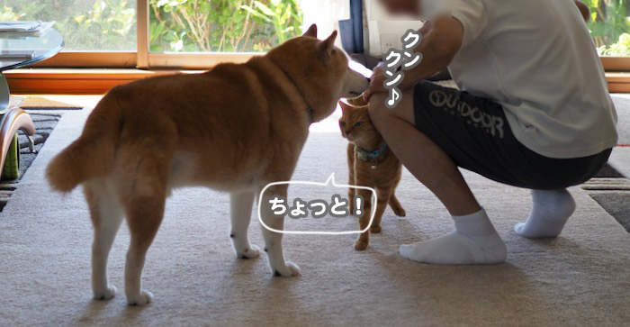 19日ブログ２