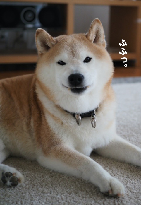 21日夜ブログ６