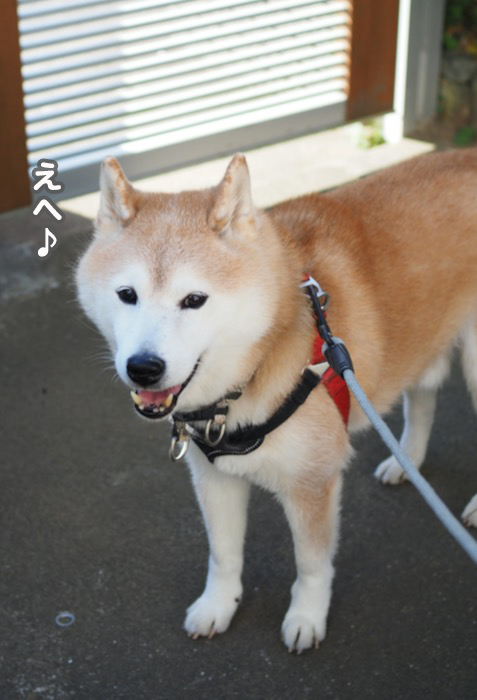 22日夕ブログ１０