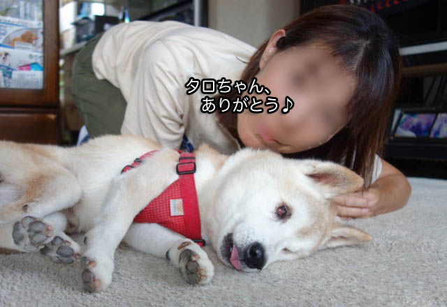 28日ブログ5