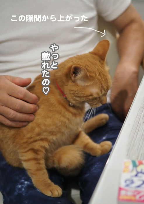 27日ブログ１