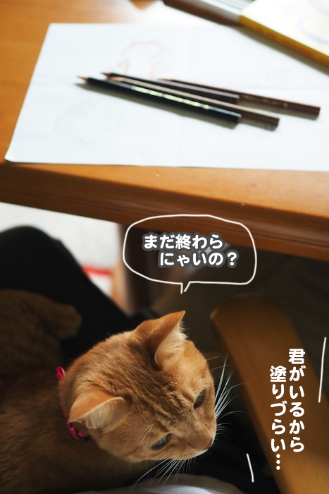 13日ブログ６