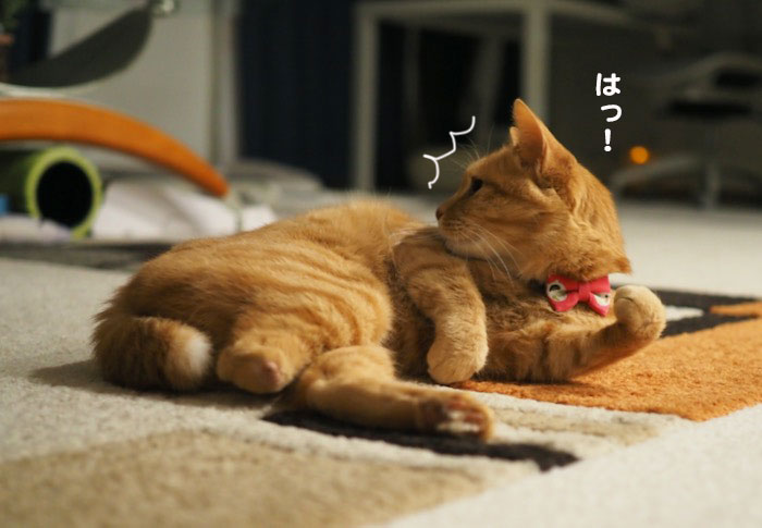 7日ブログ2
