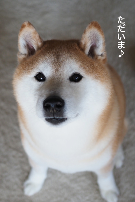 17日夜ブログ７
