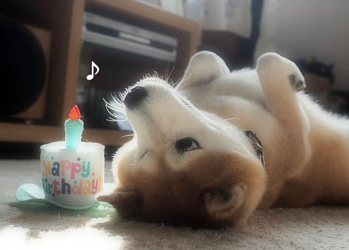 25日ブログ２