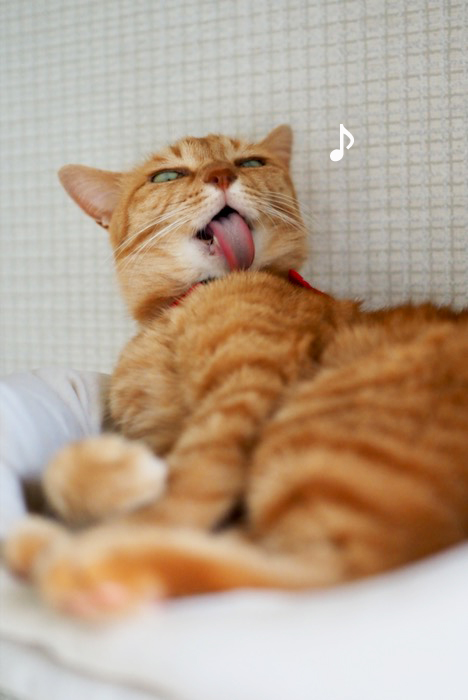 5日夕ブログ９