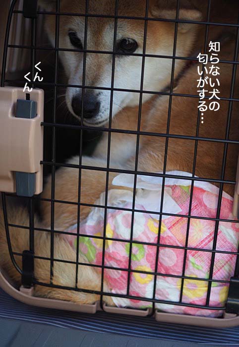 10日ブログ７