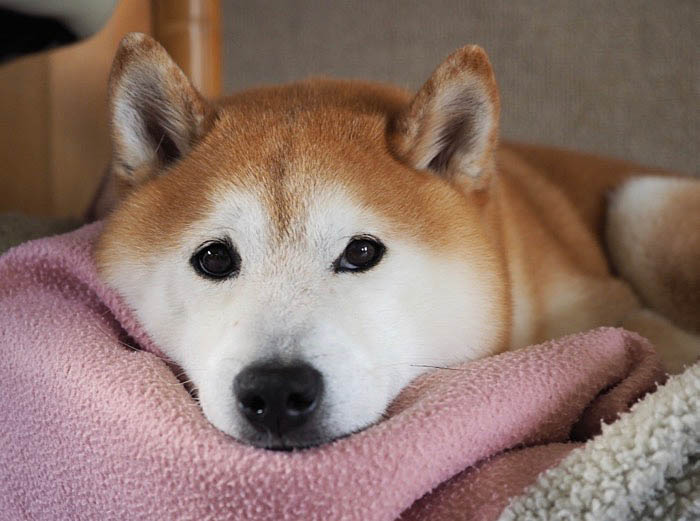 7日夜ブログ２