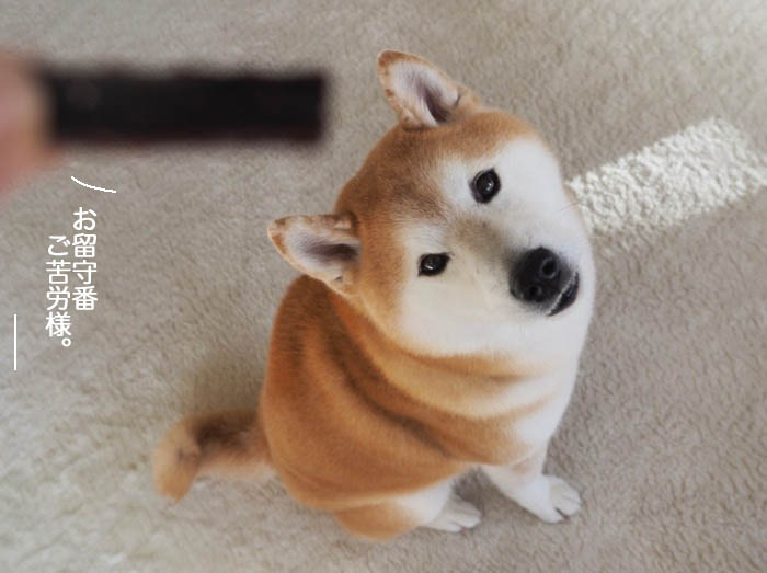 18日ブログ３