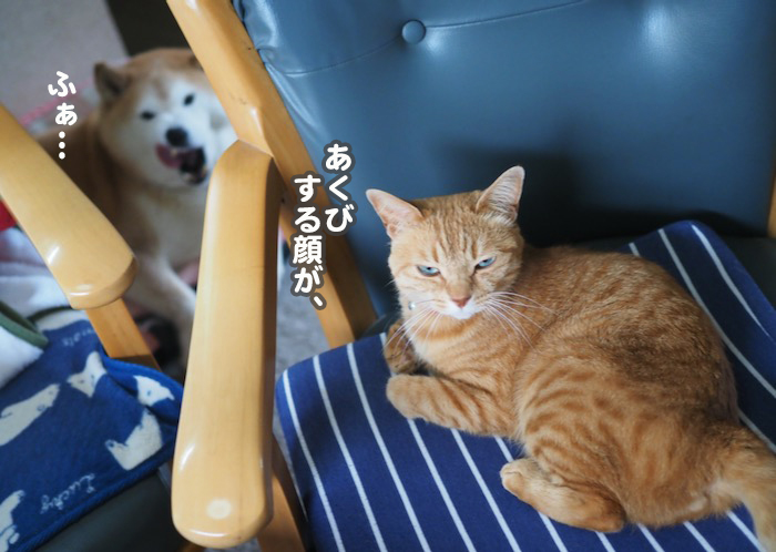 15日夕ブログ４