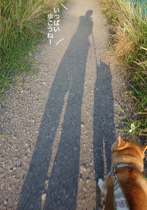 26日朝ブログ3