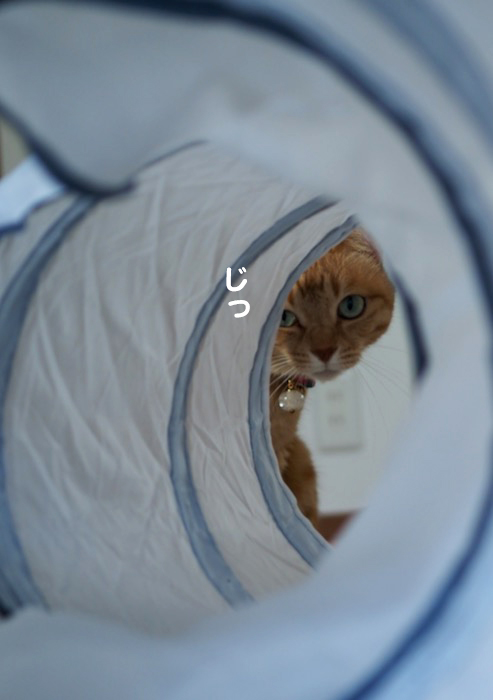 21日夕ブログ２