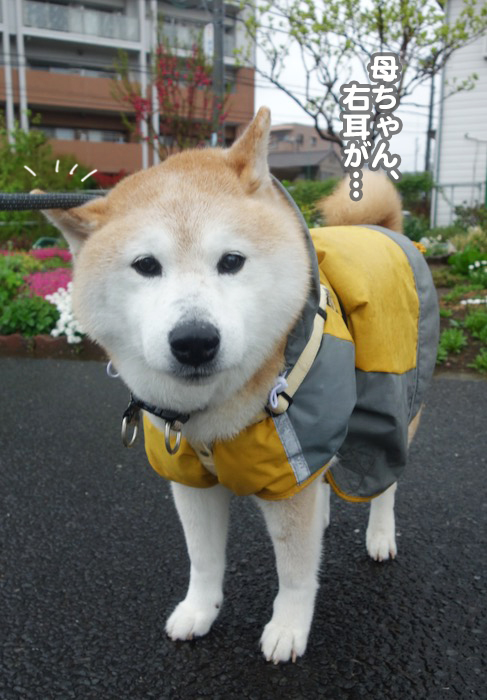 14日夕ブログ４