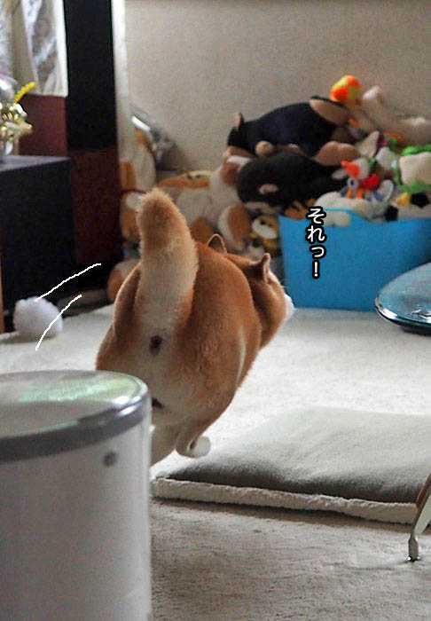 20日夜ブログ４