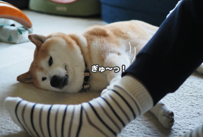 26日夕ブログ３