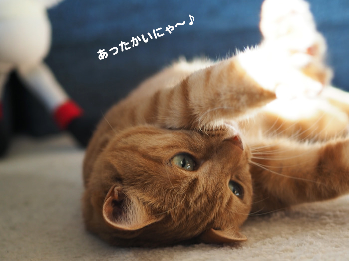 18日夕ブログ３