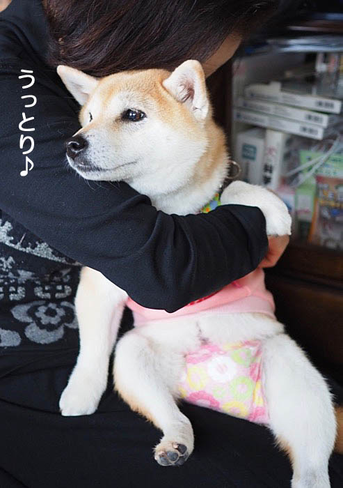 24日ブログ3