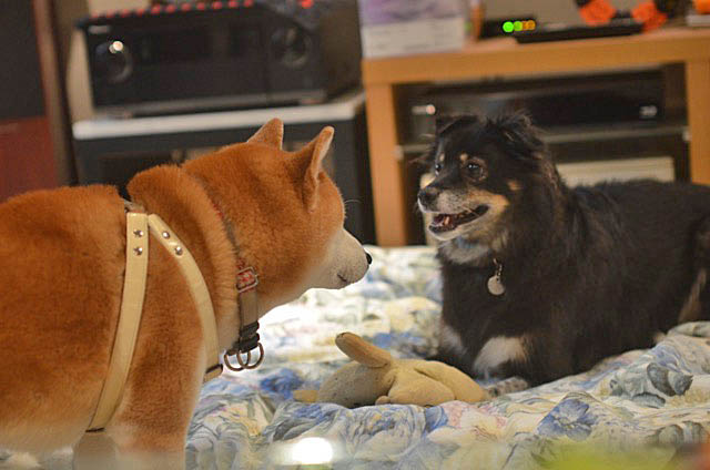 29日のブログ１