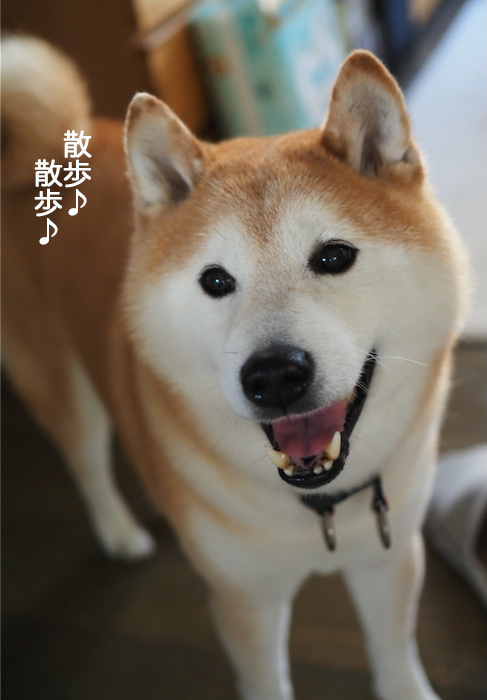 21日夜ブログ６