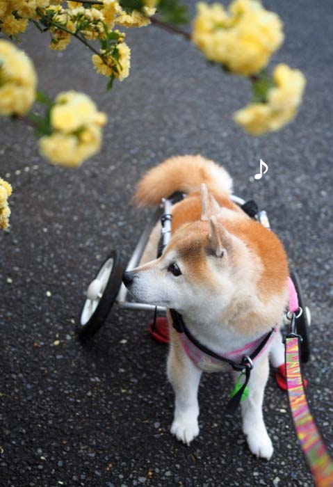 14日夜ブログ２