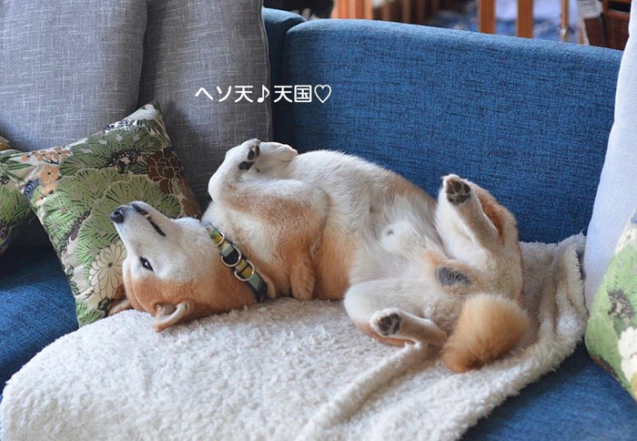 15日夜ブログ２