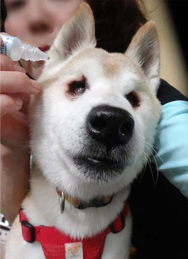 25日ブログ4.jpg