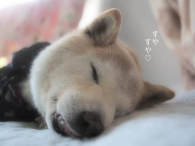 22日ブログ7