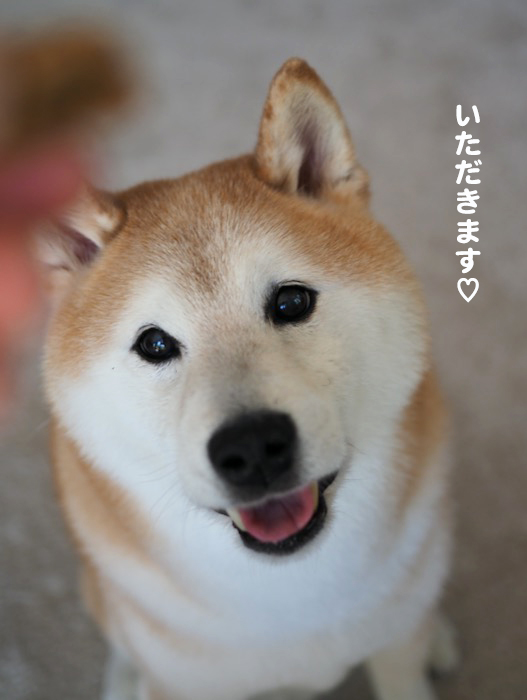 13日夕ブログ４
