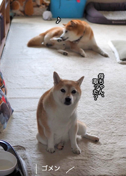 28日ブログ９