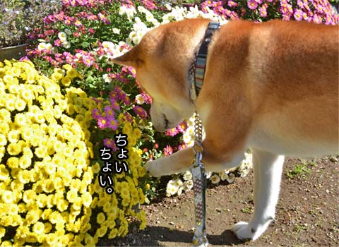 16日ブログ9.jpg