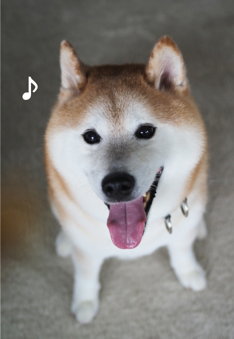 25日夕ブログ１２