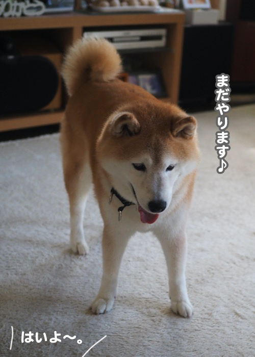 7日夕ブログ５