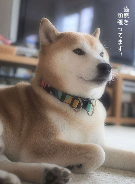 28日ブログ4