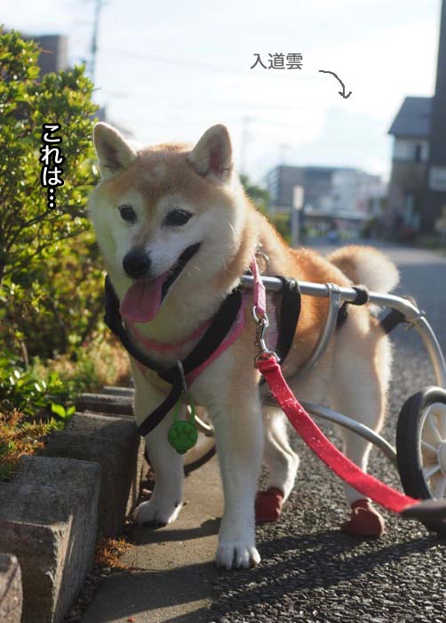 15日夕ブログ２