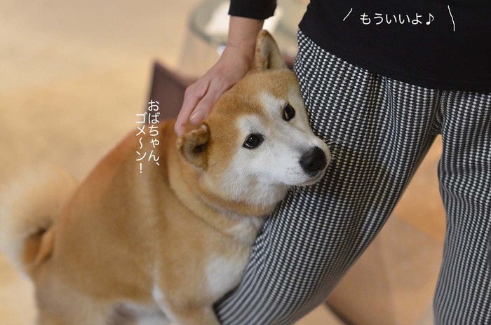 27日ブログ12