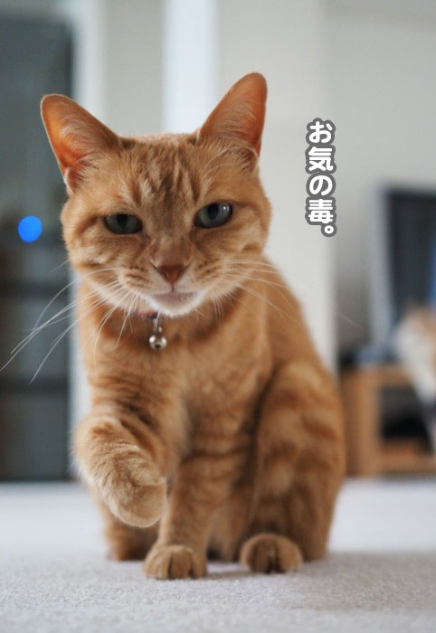 20日夕ブログ８