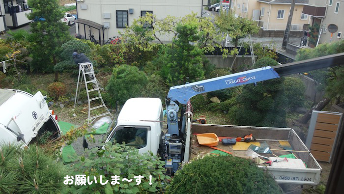 19日の夜ブログ２